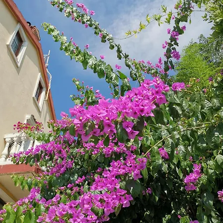 Διαμέρισμα Ginko House *