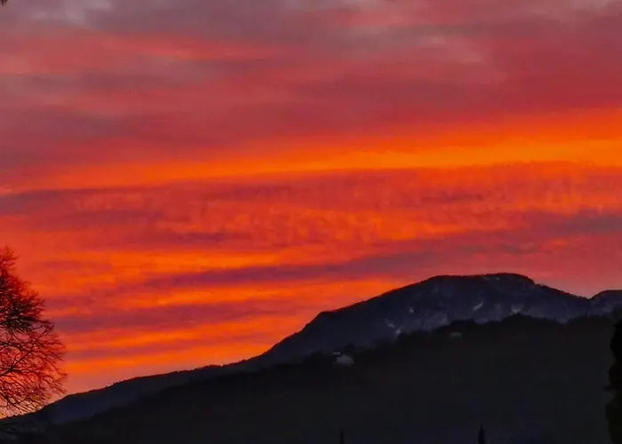 Appartement Ginko House *