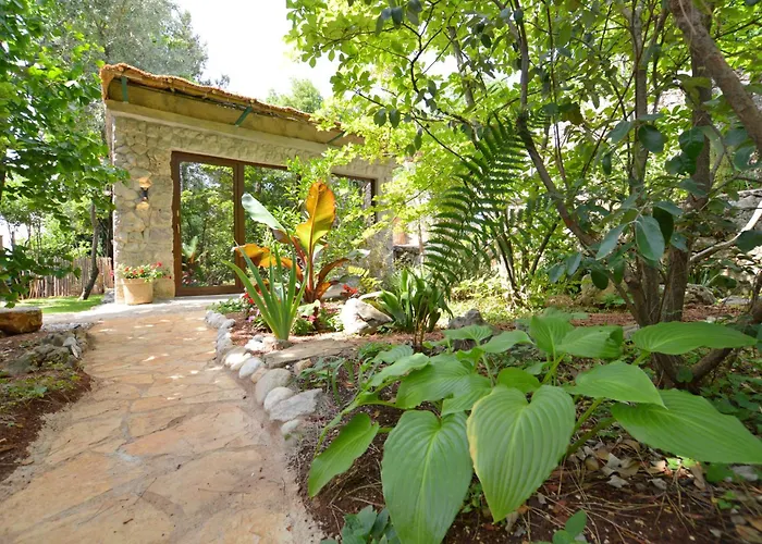 Ginko House Appartement *