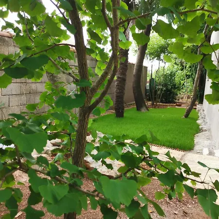 Ginko House * Οπατία