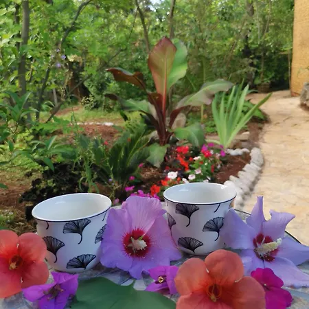 Ginko House Apartment *