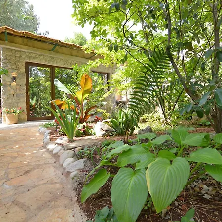 Ginko House Апартаменти *