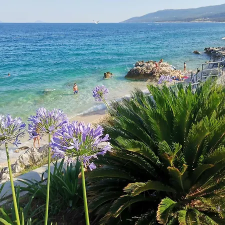 Apartment Ginko House *