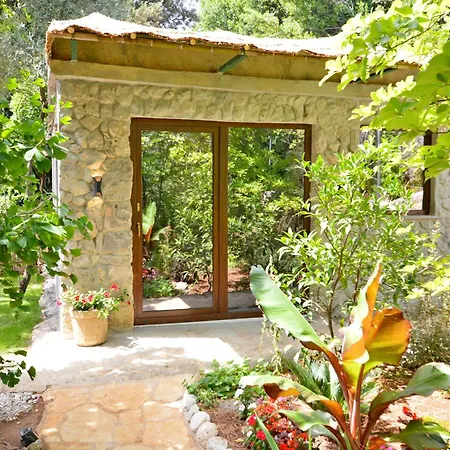 Апартаменти Ginko House