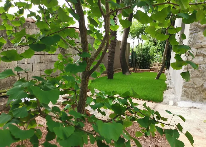 Ginko House * Opatija