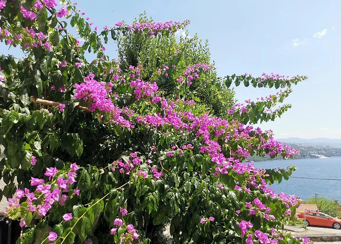 Apartment Ginko House