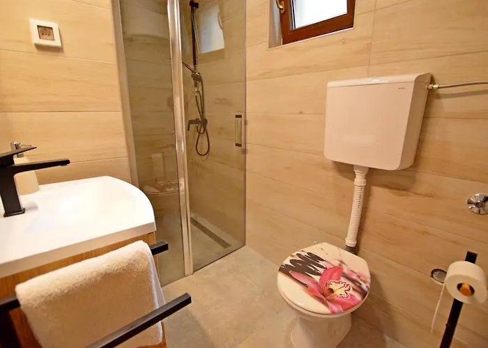 Ginko House Apartman Opatija