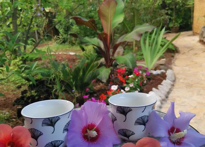 Ginko House Apartman *