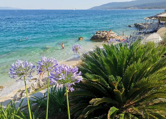 Apartman Ginko House *