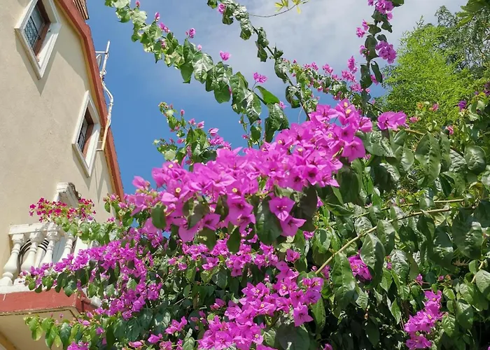 Apartman Ginko House *