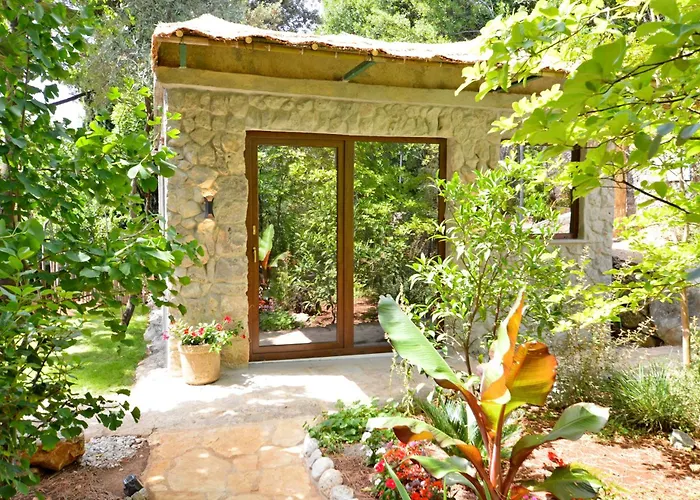 Apartman Ginko House